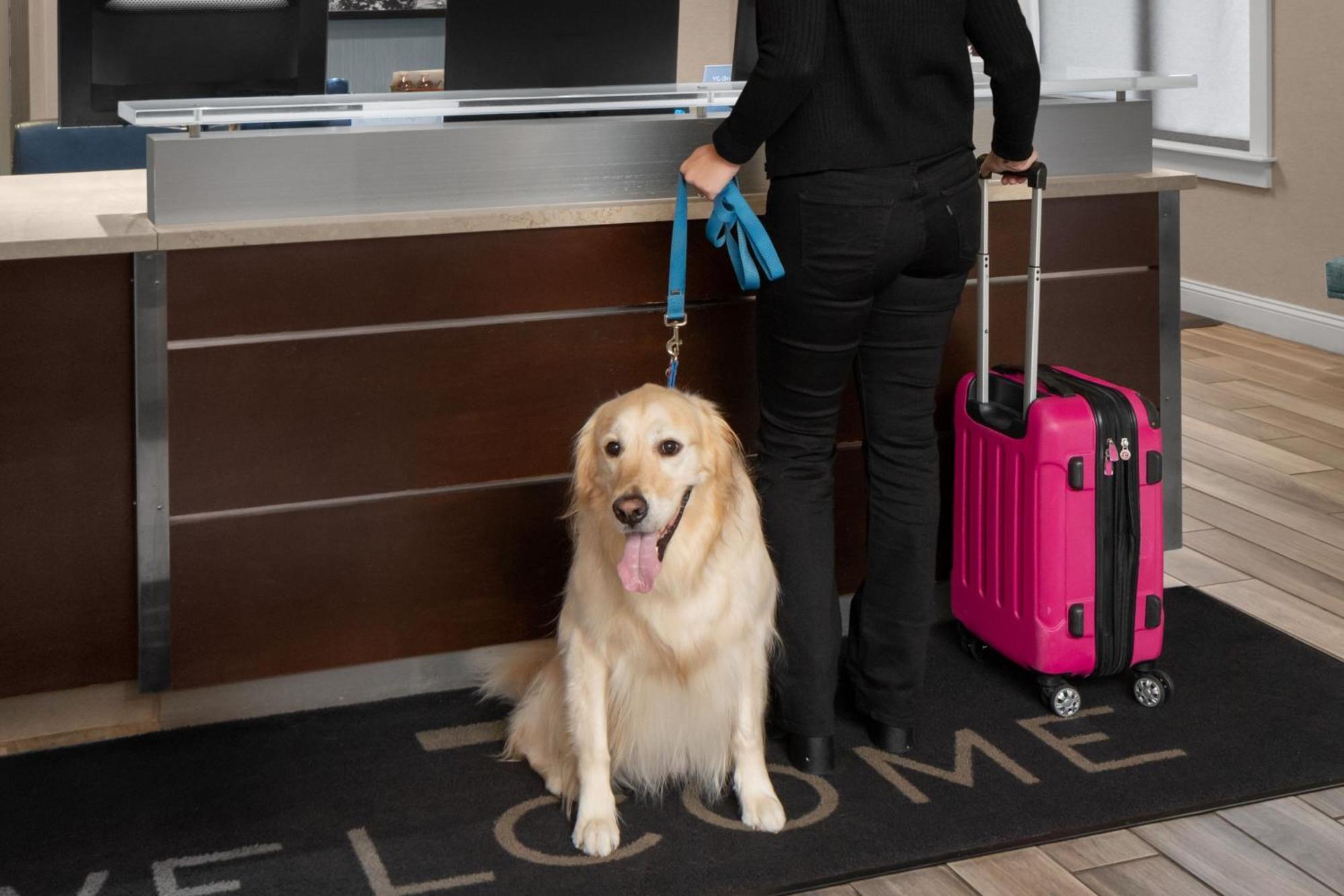 Residence Inn Boston Dedham Bagian luar foto